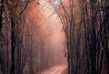 德国大胜克罗地亚，提高出线机会